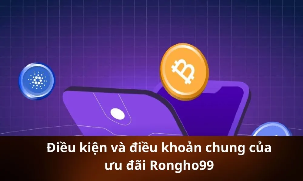 Điều Kiện Và Điều Khoản Chung Của Ưu Đãi Rongho99