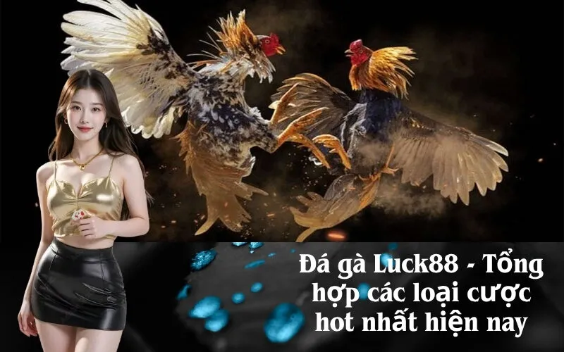 Đá gà Luck88 - Tổng hợp các loại cược hot nhất hiện nay
