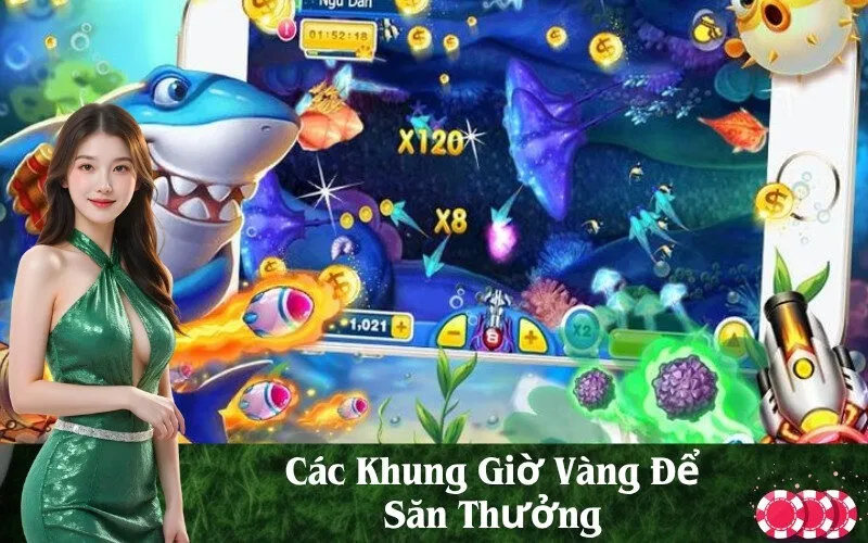 Các Khung Giờ Vàng Để Săn Thưởng