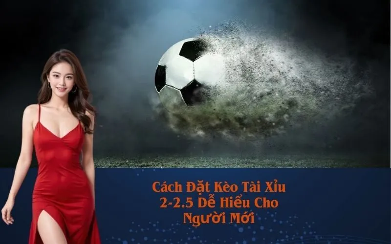 Cách Đặt Kèo Tài Xỉu 2-2.5 Dễ Hiểu Cho Người Mới
