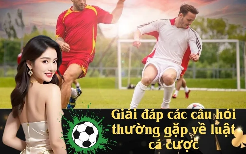 Giải đáp các câu hỏi thường gặp về luật cá cược