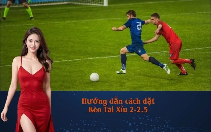 Hướng dẫn cách đặt Kèo Tài Xỉu 2-2.5