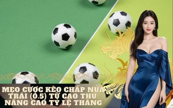 Mẹo cược kèo chấp nửa trái (0.5) từ cao thủ: Nâng cao tỷ lệ thắng