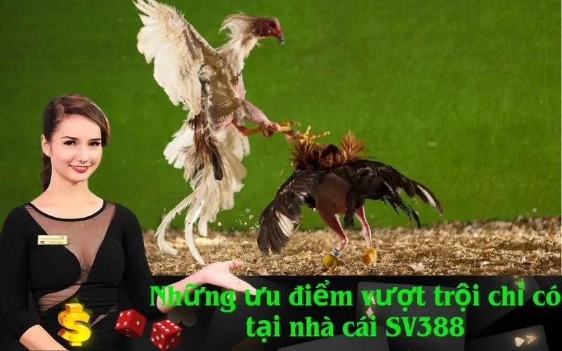Những ưu điểm vượt trội chỉ có tại nhà cái SV388