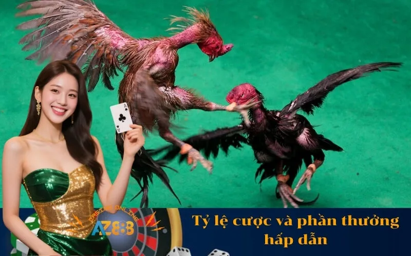 Tỷ lệ cược và phần thưởng hấp dẫn