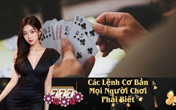Các Lệnh Cơ Bản Mọi Người Chơi Phải Biết
