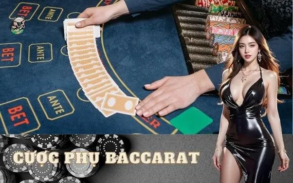 Cược phụ Baccarat
