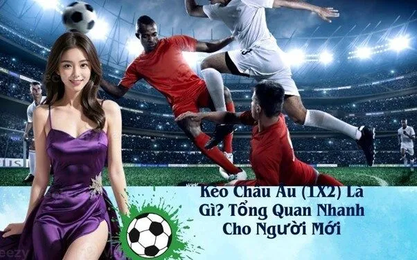 Kèo Châu Âu (1X2) Là Gì? Tổng Quan Nhanh Cho Người Mới