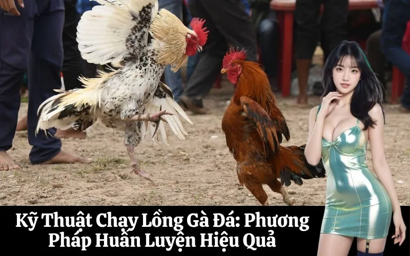 Kỹ Thuật Chạy Lồng Gà Đá Phương Pháp Huấn Luyện Hiệu Quả