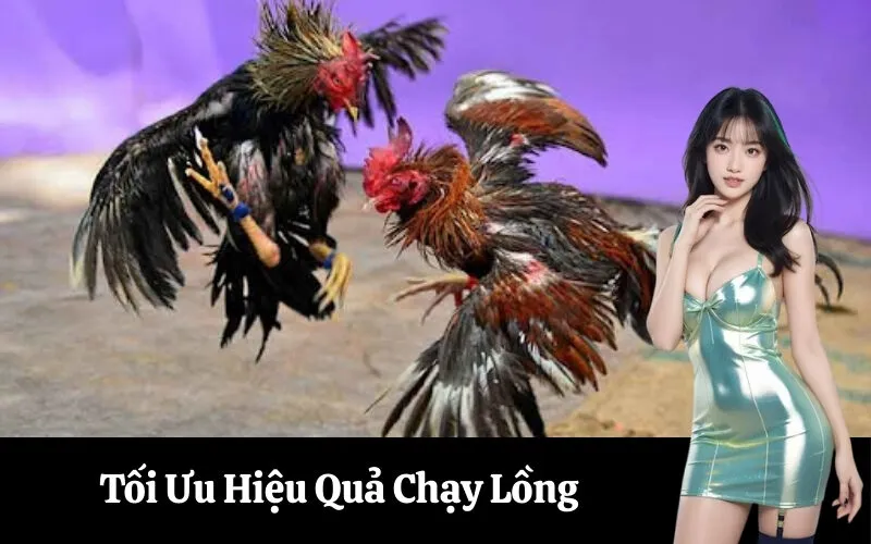Tối Ưu Hiệu Quả Chạy Lồng