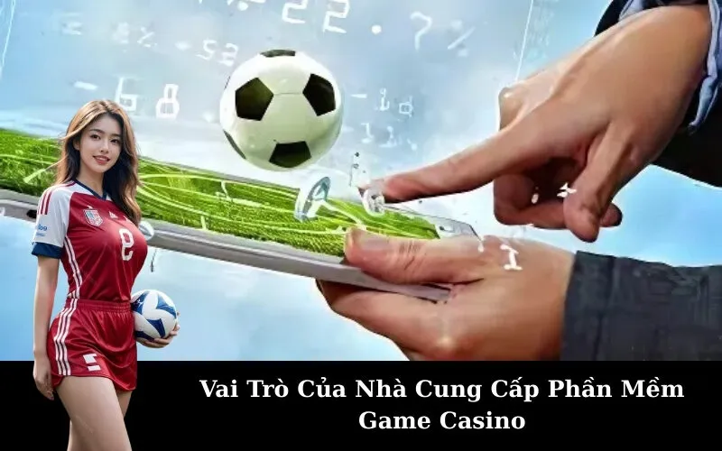 Vai Trò Của Nhà Cung Cấp Phần Mềm Game Casino