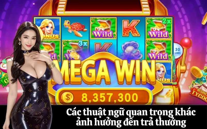 Các thuật ngữ quan trọng khác ảnh hưởng đến trả thưởng